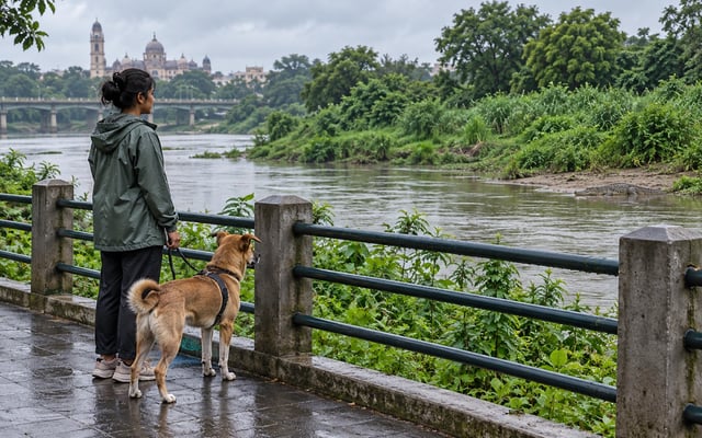 A pet parent keeps a leashed dog behind a riverside railing while a distant crocodile rests across the Vishwamitri River in Vadodara.
